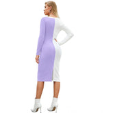 Women's Knitting stretchable Solid Round Neck Full Sleeve Dress (Purple)